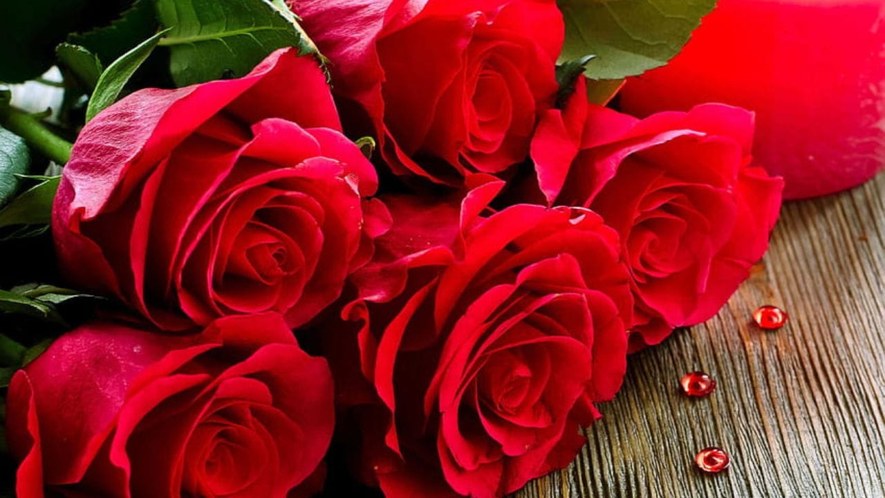 গোলাপ ফুলকে প্রেমের প্রতীক বলে মনেকরা হয়। শুধু প্রেম বা ভালবাসা হিসেবে নয়, এই সুগন্ধী ফুল দেবী দুর্গারও খুব প্রিয় একটি ফুল।