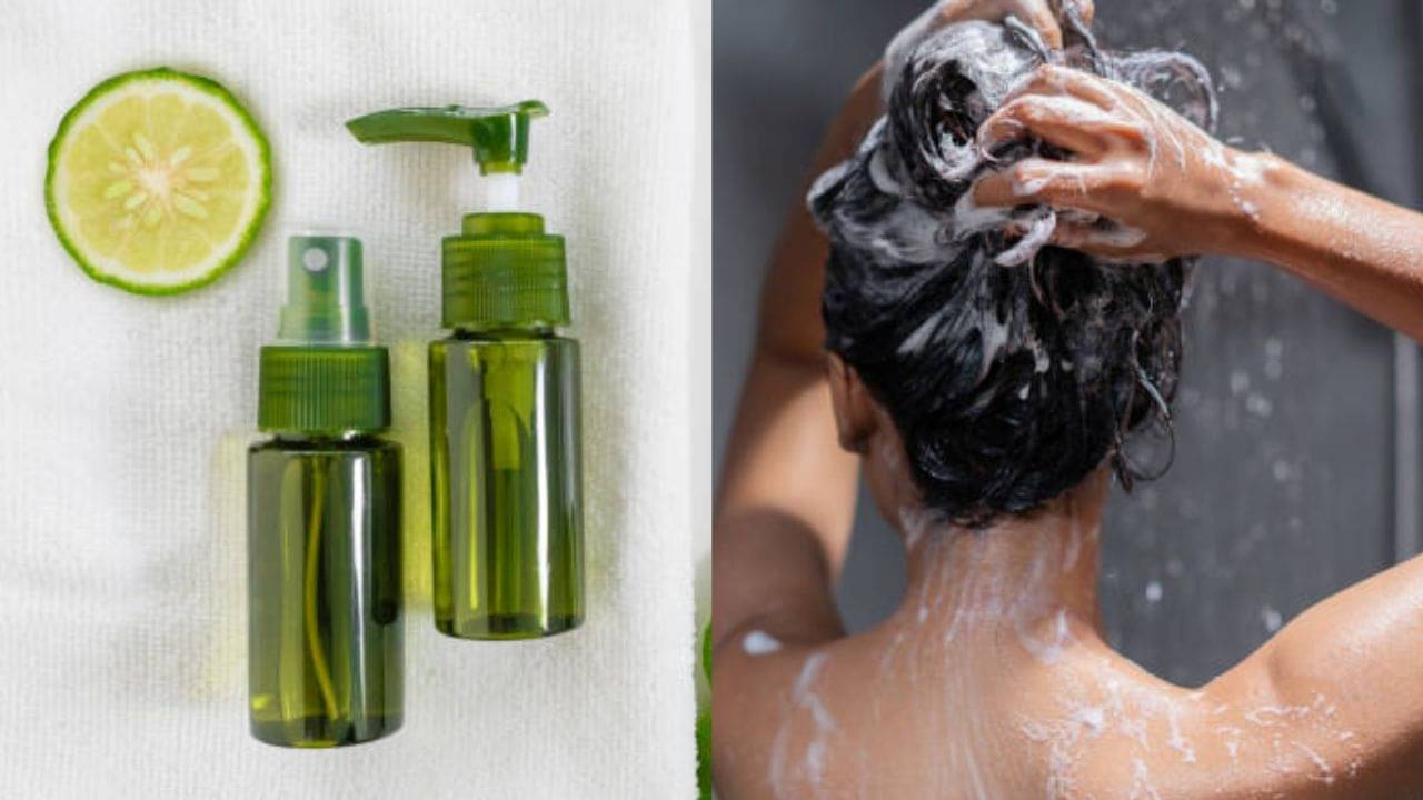 DIY Shampoo: চুল পড়া থেকে খুশকি, এই হোমমেড শ্যাম্পুতেই রয়েছে হাজারো সমস্যার সমাধান