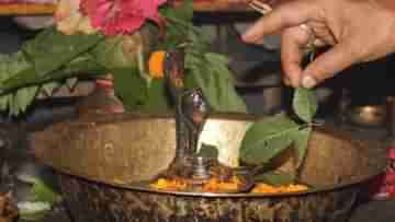 Shivling Abhishek: আষাঢ়ের প্রথম সোমবার শিবলিঙ্গ অভিষেক করুন এই বিশেষ পদ্ধতিতে, নিমেষে দূর হবে অর্থকষ্ট-গোপন শত্রুতা!