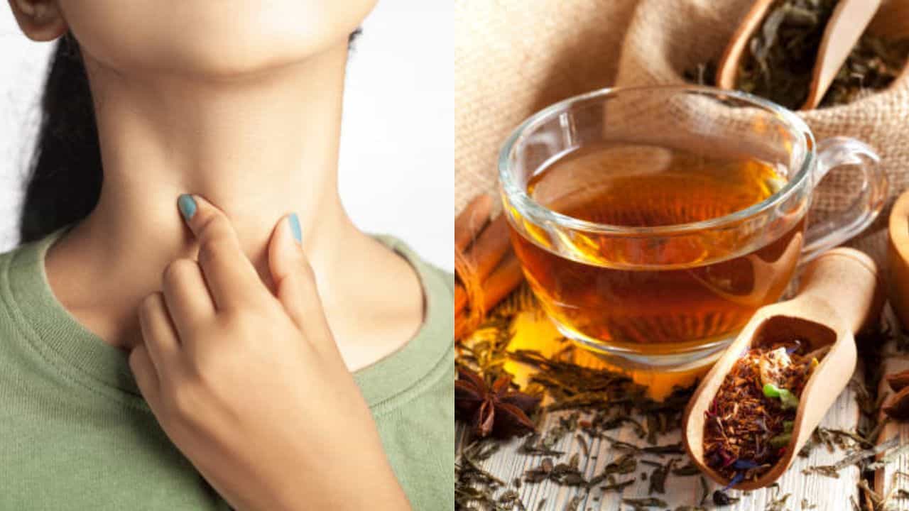 Ayurvedic Tea for Thyroid: থাইরয়েড হরমোনের তারতম্য ওষুধ খেয়ে বশ মানছে না? এই আয়ুর্বেদিক চা বানিয়ে রোজ খান Ayurvedic Tea for Thyroid: থাইরয়েড হরমোনের তারতম্য ওষুধ খেয়ে বশ মানছে না? এই আয়ুর্বেদিক চা বানিয়ে রোজ খান