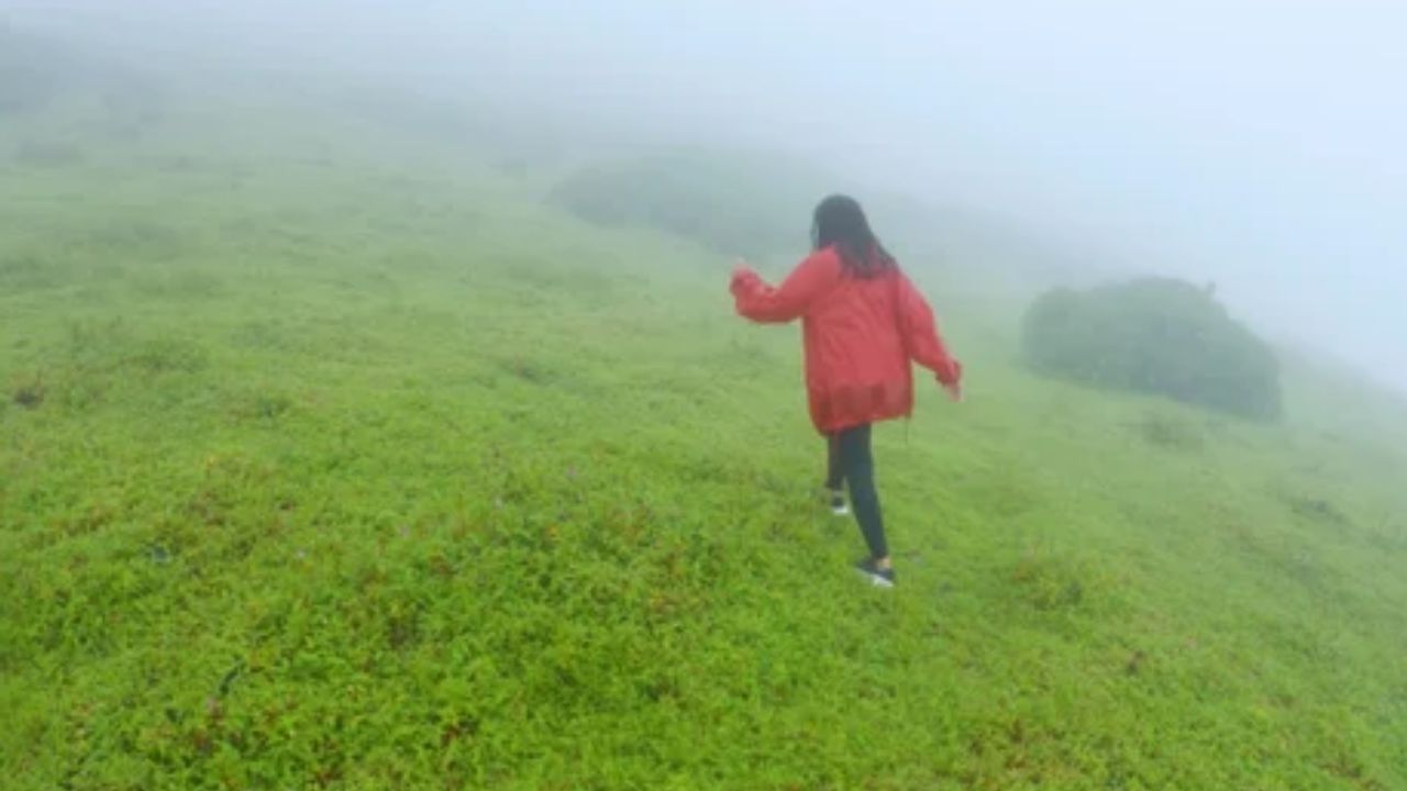 শীত হোক, গ্রীষ্ম বা বর্ষা, ভ্রমণপ্রেমীদের কাছে ঋতু বা সময় কোনও বিষয় নয়, বেড়ানো হলেই হল। ভ্রমণপ্রেমীরা ঋতু অনুযায়ী ঠিক বেড়ানোর জায়গা বেছে নেন। এই বর্ষা ঋতুতেও বেড়ানোর দারুণ -দারুণ জায়গা রয়েছে