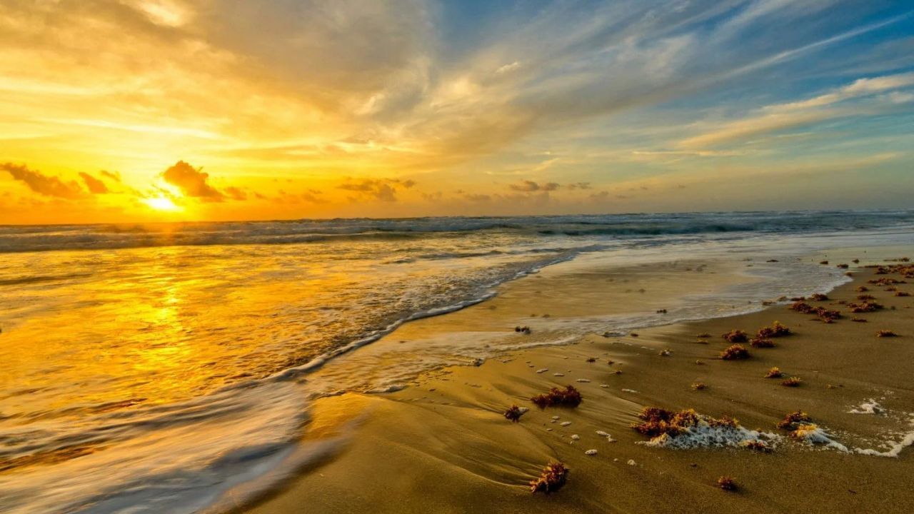 Sea Beaches: সামনেই লম্বা ছুটি, সমুদ্রে যাবেন? রইল ভারতের সেরা ৬ সৈকতের হদিস