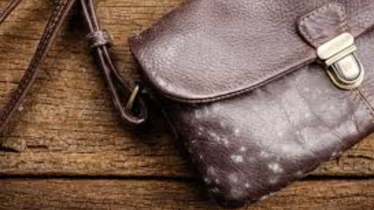 বর্ষাকালে রাস্তায় বেরোলে হঠাৎ বৃষ্টিতে মাঝে মাঝে ভিজে যায় চামড়ার ব্যাগ, জুতো। বাড়িতে ফিরে সেই ভেজা ব্যাগ, জুতো শুকানোর জন্য রেখে দেন। কিছু দিন পরেই দেখা যায় চামড়ার ব্যাগে ছাতা ধরে গিয়েছে।