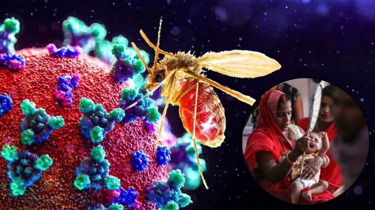 Chandipura virus: নতুন আতঙ্ক চাঁদিপুর ভাইরাস! মৃত ৮ শিশু, আক্রান্ত আরও ১৪