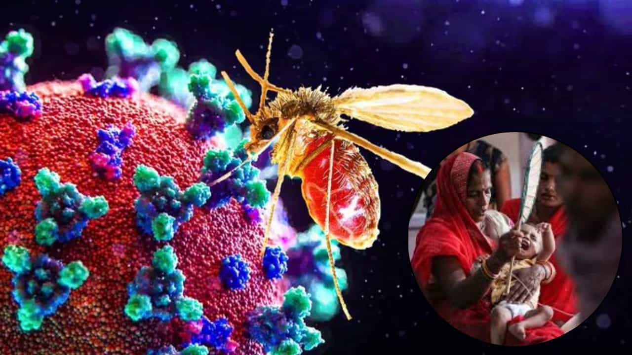 Chandipura virus: নতুন আতঙ্ক চাঁদিপুর ভাইরাস! মৃত ৮ শিশু, আক্রান্ত আরও ১৪ Chandipura virus: নতুন আতঙ্ক চাঁদিপুর ভাইরাস! মৃত ৮ শিশু, আক্রান্ত আরও ১৪