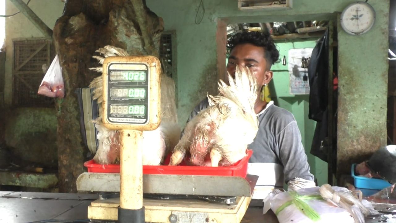 Chicken Price: ধর্মঘট তো আপেক্ষিক, জানেন আসলে ঠিক কোন কারণে মুরগির মাংসের দাম বাড়ছে হু হু করে?