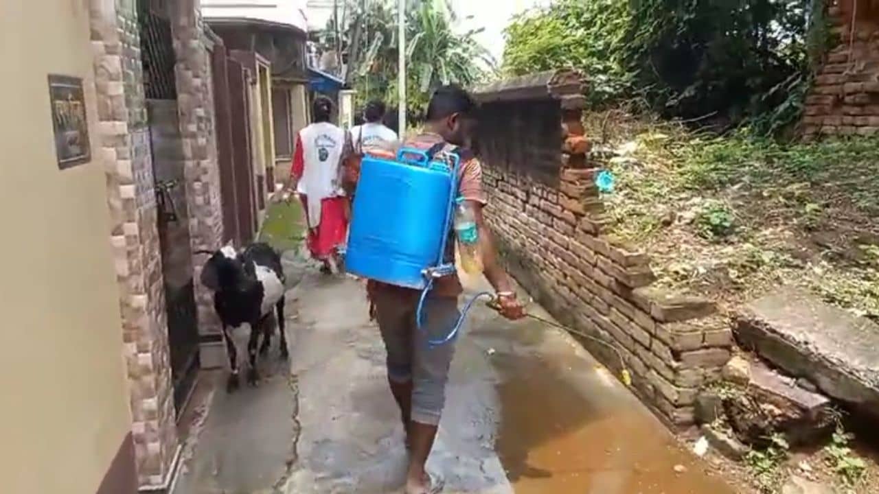 Burdwan: তিন মাস ধরে চেষ্টা করছি..., কিন্তু এখনও হাতের বাইরে, একই ওয়ার্ডে আক্রান্ত ১২,  বর্ধমানে লাফিয়ে বাড়ছে ডেঙ্গি