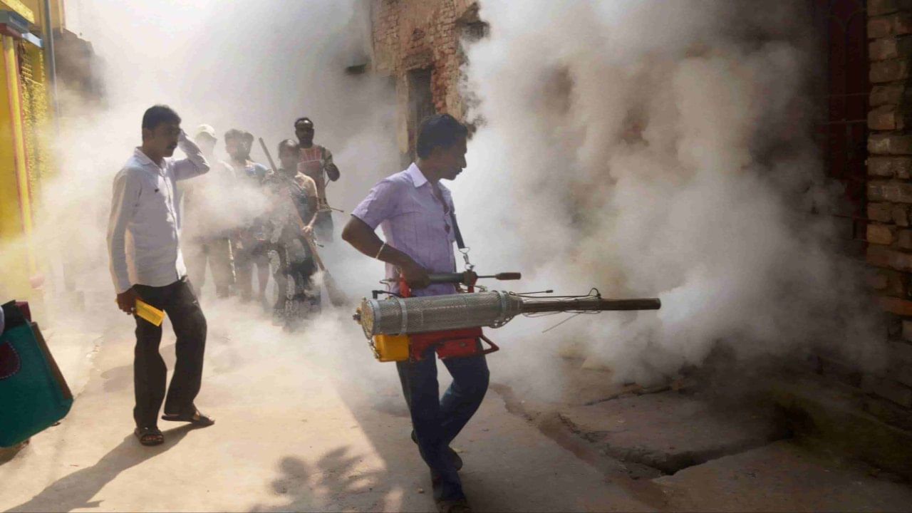Dengue: পুজোর মুখে ডেঙ্গির বাড়বাড়ন্ত ধূপগুড়িতে Dengue: পুজোর মুখে ডেঙ্গির বাড়বাড়ন্ত ধূপগুড়িতে