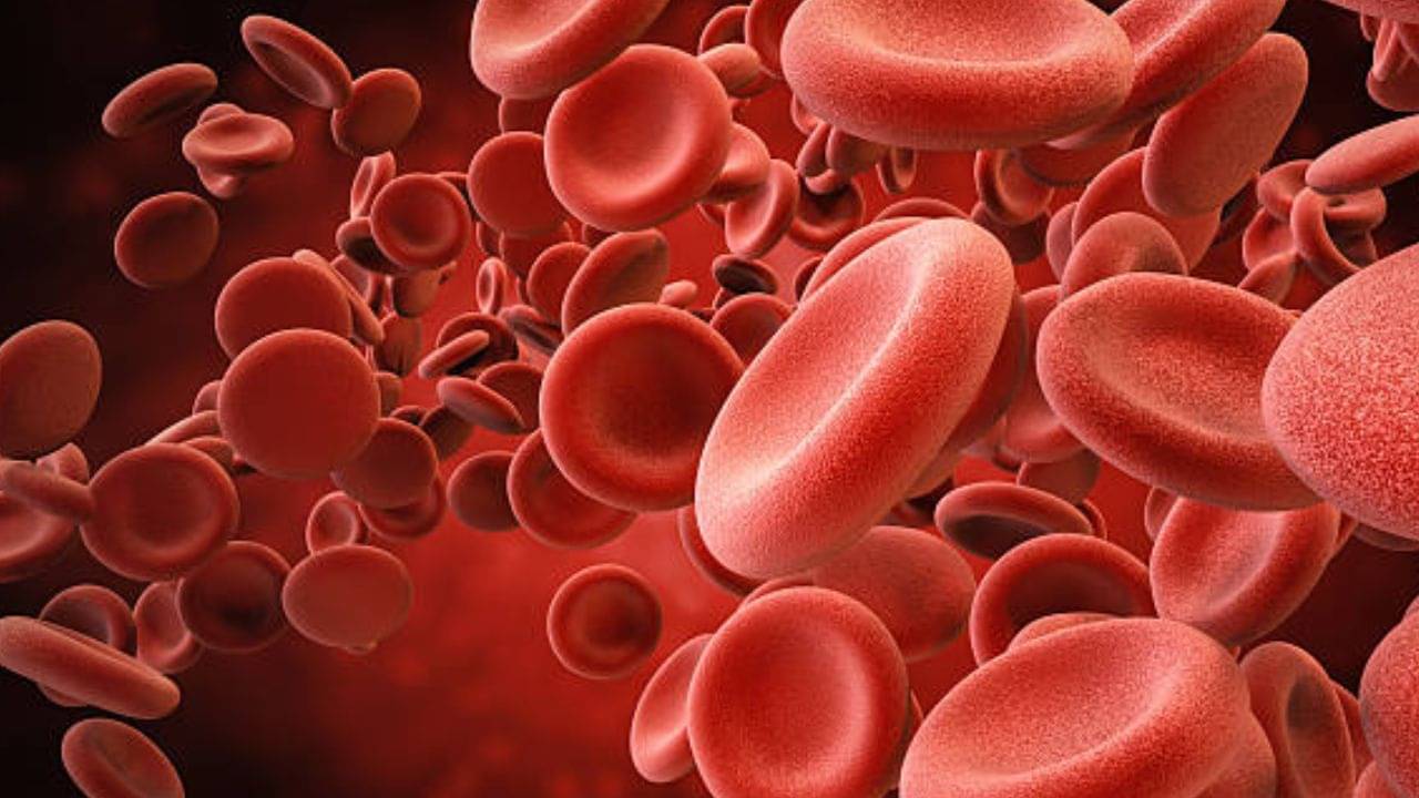 Blood Disease: রক্তে প্লেটলেটের সংখ্যা কম? ডেঙ্গি থেকে সেরে ওঠার পর হতে পারে মারাত্মক রোগ