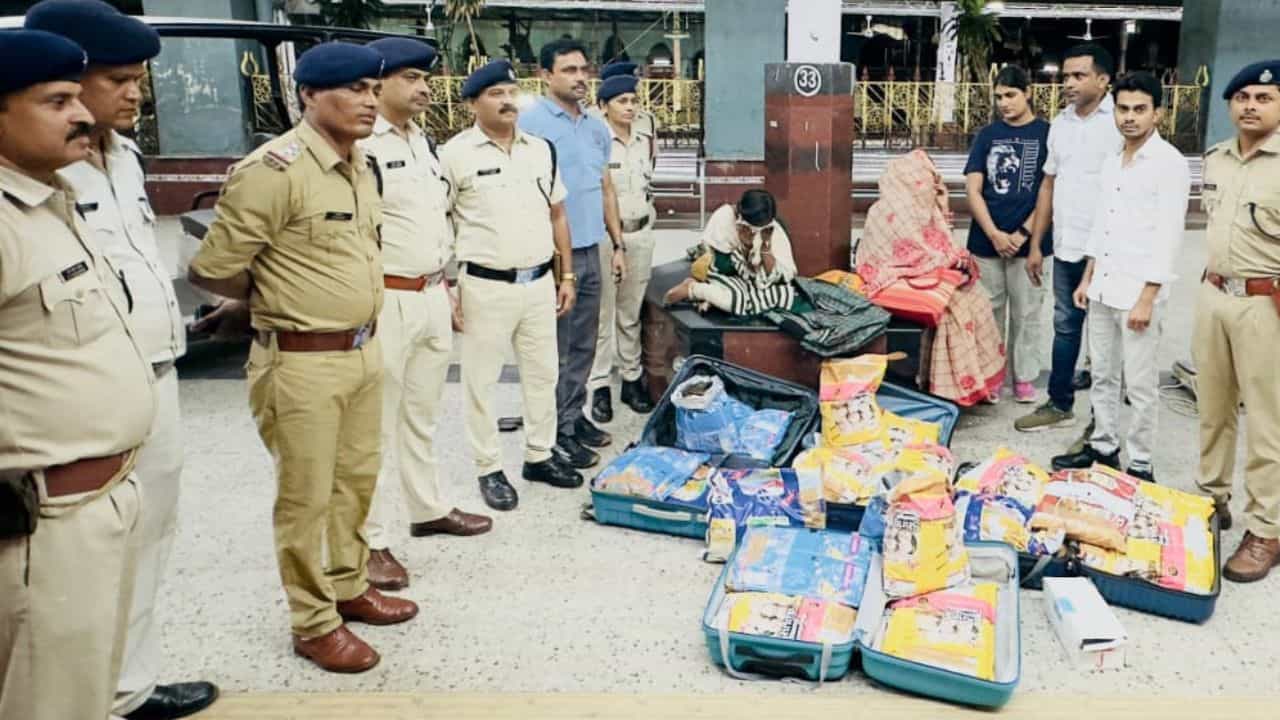 Howrah: একজনের আঁচল কোমরে গোঁজা, অন্যজন বেঁধেছে ওড়না, হাওড়া স্টেশনে হনহন করে যেতেই ধরল RPF, ট্রলি খুলতেই চোখ কপালে Howrah: একজনের আঁচল কোমরে গোঁজা, অন্যজন বেঁধেছে ওড়না, হাওড়া স্টেশনে হনহন করে যেতেই ধরল RPF, ট্রলি খুলতেই চোখ কপালে