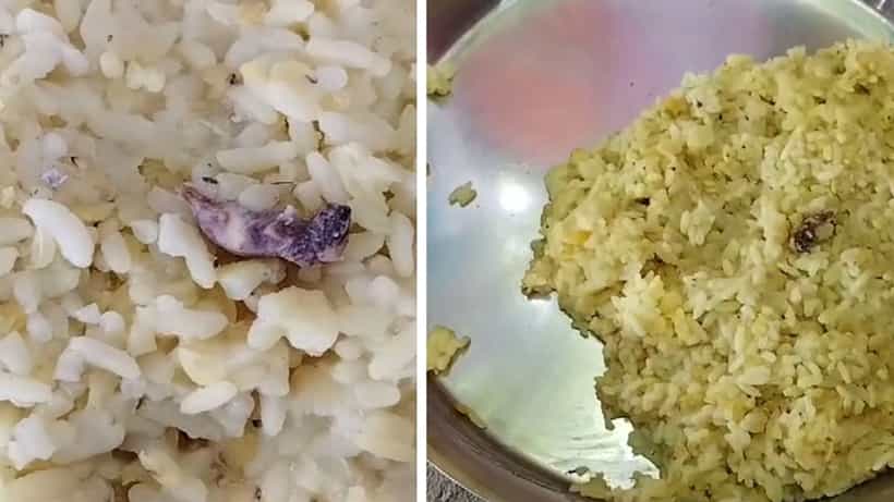 Sonarpur: এবার মিড ডে মিলে নতুন ননভেজ রেসিপি ইঁদুর খিচুড়ি! সৌজন্যে সোনারপুর অঙ্গনওয়াড়ি