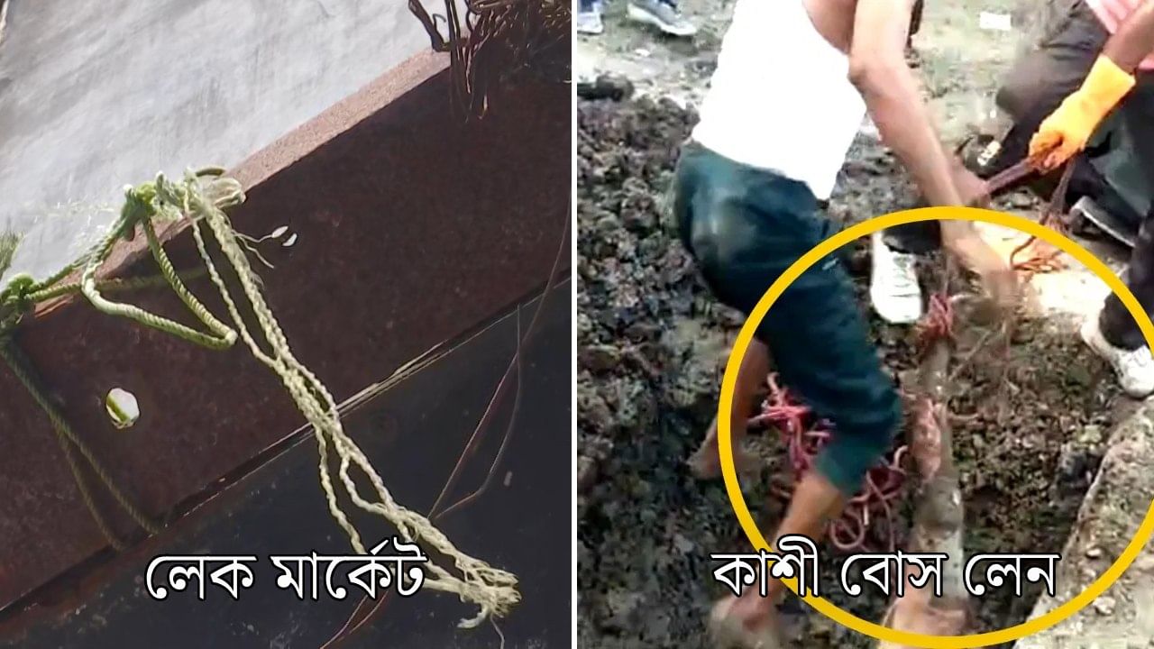 Kolkata: কাল মাটি ফুঁড়ে, আজ ঝুলন্ত, পরপর দু'দিন কলকাতায় জোড়া লাশ Kolkata: কাল মাটি ফুঁড়ে, আজ ঝুলন্ত, পরপর দু'দিন কলকাতায় জোড়া লাশ