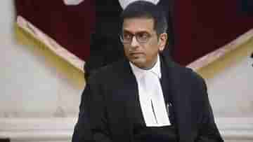 CJI Chandrachud: ইয়া... ইয়া আবার কী কথা! আইনজীবীর ভাষা শুনে ক্ষুব্ধ প্রধান বিচারপতি, মাঝপথেই থামিয়ে দিলেন