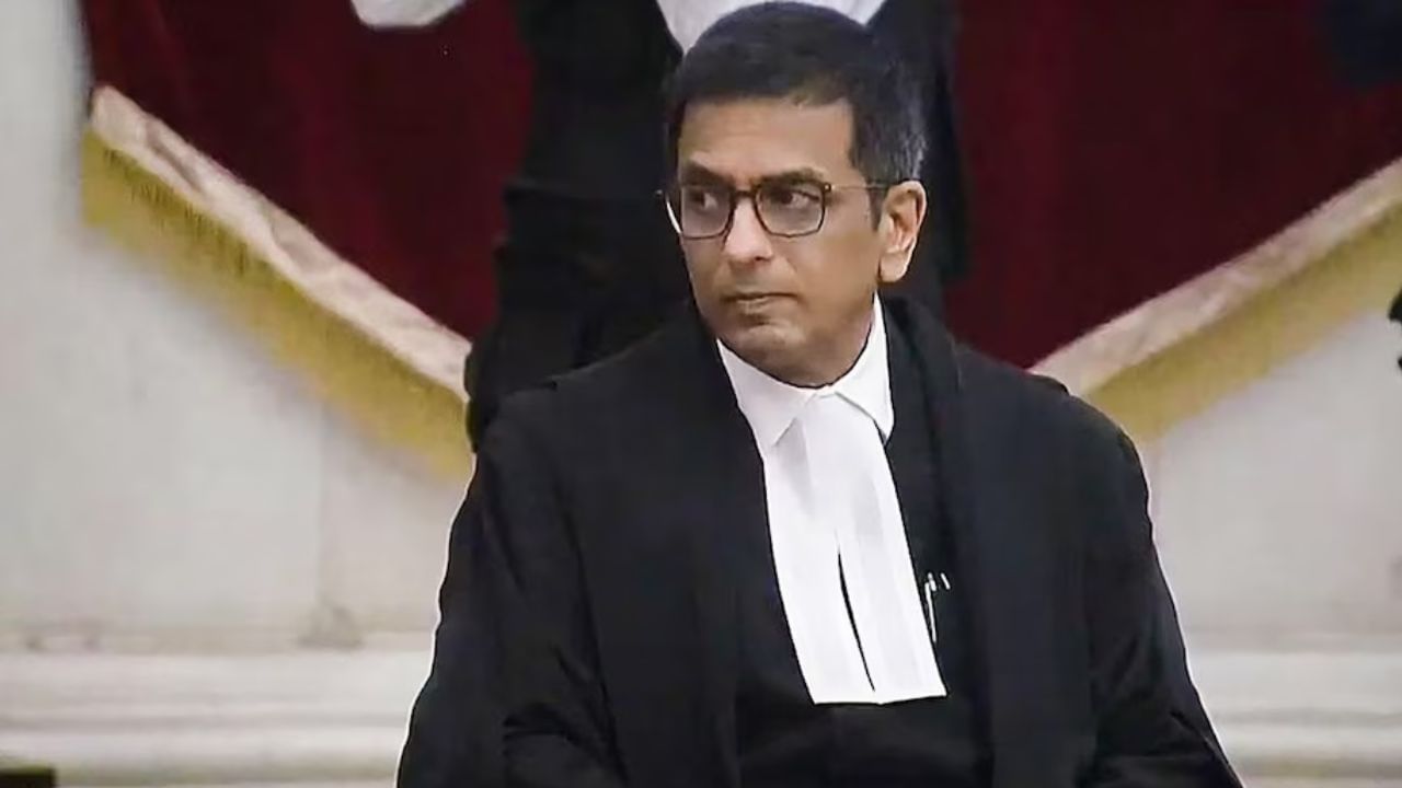 CJI Chandrachud: 'ইয়া... ইয়া আবার কী কথা!' আইনজীবীর ভাষা শুনে ক্ষুব্ধ প্রধান বিচারপতি, মাঝপথেই থামিয়ে দিলেন