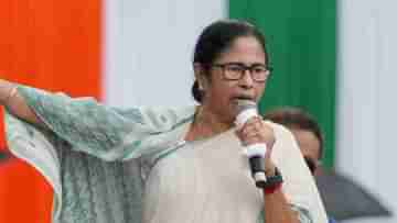 Mamata Banerjee on RG Kar: বিজেপি ছিল, কারও হাতে ডিওয়াইএফআইয়ের পতাকা, মমতার মুখে বহিরাগত তত্ত্ব