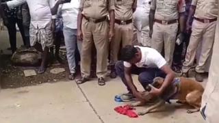 জাপ্টে ধরে চুমু, তুলে নিলেন কোলে… স্কুলের মধ্যেই শিক্ষিকারর সঙ্গে ‘মস্তি’ প্রিন্সিপালের, ভাইরাল ভিডিয়ো