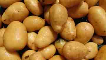 Potato Price Hike: হেঁসেলে স্ট্রাইক ডেকেছে আলু? ভয় নেই, এবার পাতে পড়বে বিদেশি আলু