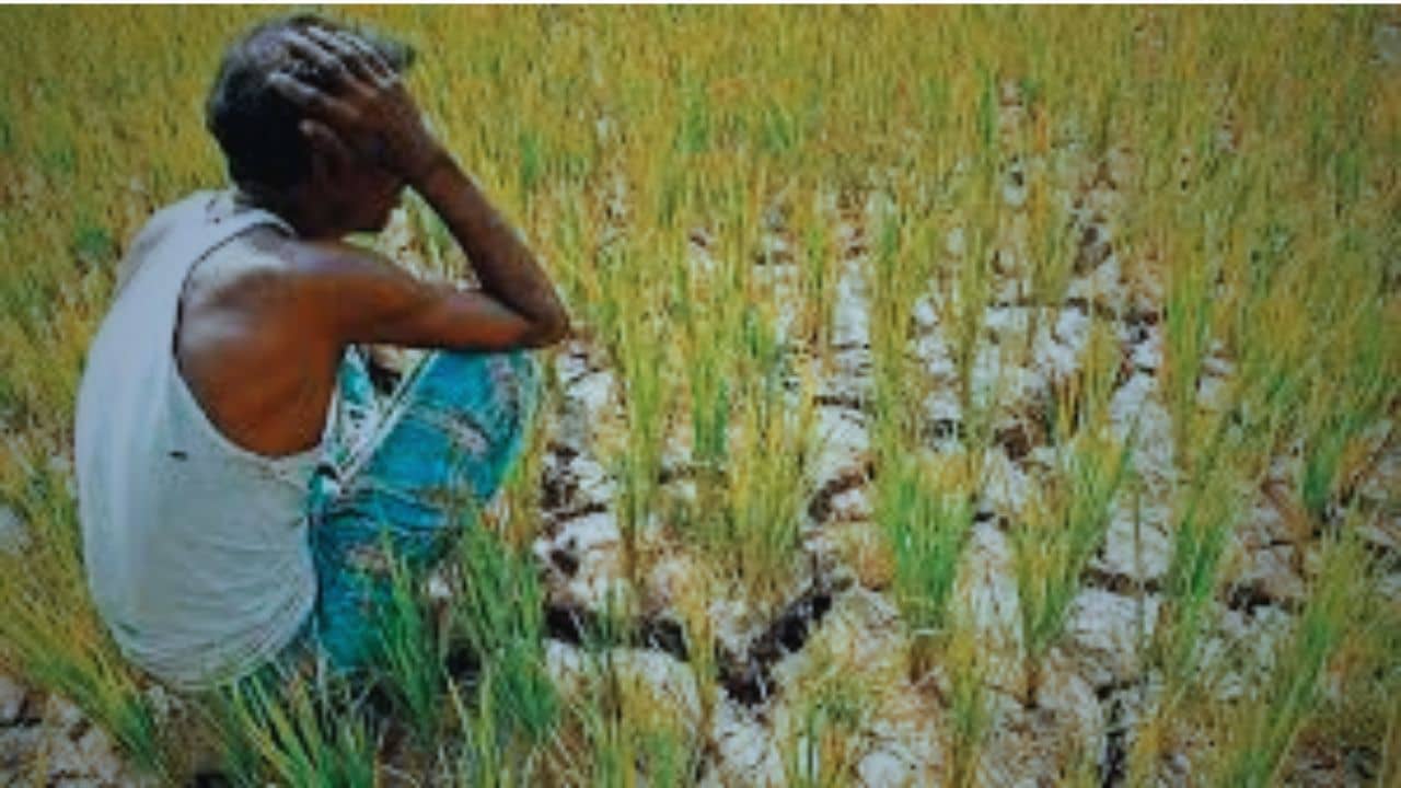 Rainfall Deficit: ১২৪ বছরে তৃতীয় শুষ্কতম জুন দক্ষিণবঙ্গে, কেন এমন ‘বর্ষাল্পতা’?