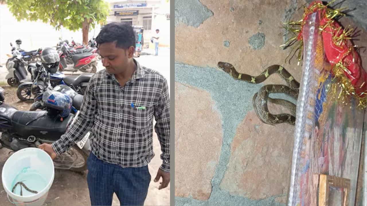 ঠাকুরের পিছন থেকে ছোবল! স্ত্রীর সঙ্গে সাপকেও বাইকে চাপিয়ে হাসপাতালে আনলেন যুবক, ভিরমি খাওয়ার জোগাড় ডাক্তারের ঠাকুরের পিছন থেকে ছোবল! স্ত্রীর সঙ্গে সাপকেও বাইকে চাপিয়ে হাসপাতালে আনলেন যুবক, ভিরমি খাওয়ার জোগাড় ডাক্তারের