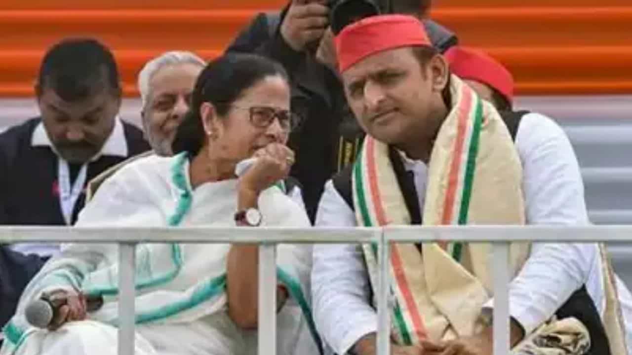 Akhilesh Yadav: বড় চমক! একুশে জুলাইয়ের মঞ্চে থাকতে পারেন অখিলেশ, ফোন করলেন 'দিদি'কে Akhilesh Yadav: বড় চমক! একুশে জুলাইয়ের মঞ্চে থাকতে পারেন অখিলেশ, ফোন করলেন 'দিদি'কে