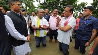 মালিকের নুন খেয়েছে! তাই পুলিশ-পঞ্চায়েত ‘ফেল’ হলেও ‘নমকহারাম’ নয় মোষ