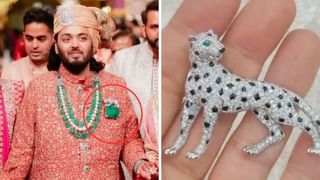 বাজেটে টান পড়ল নাকি? নিজের বিয়ের লেহেঙ্গাই অনন্ত-রাধিকার বিয়েতে পরলেন অম্বানীর বড় বউ!