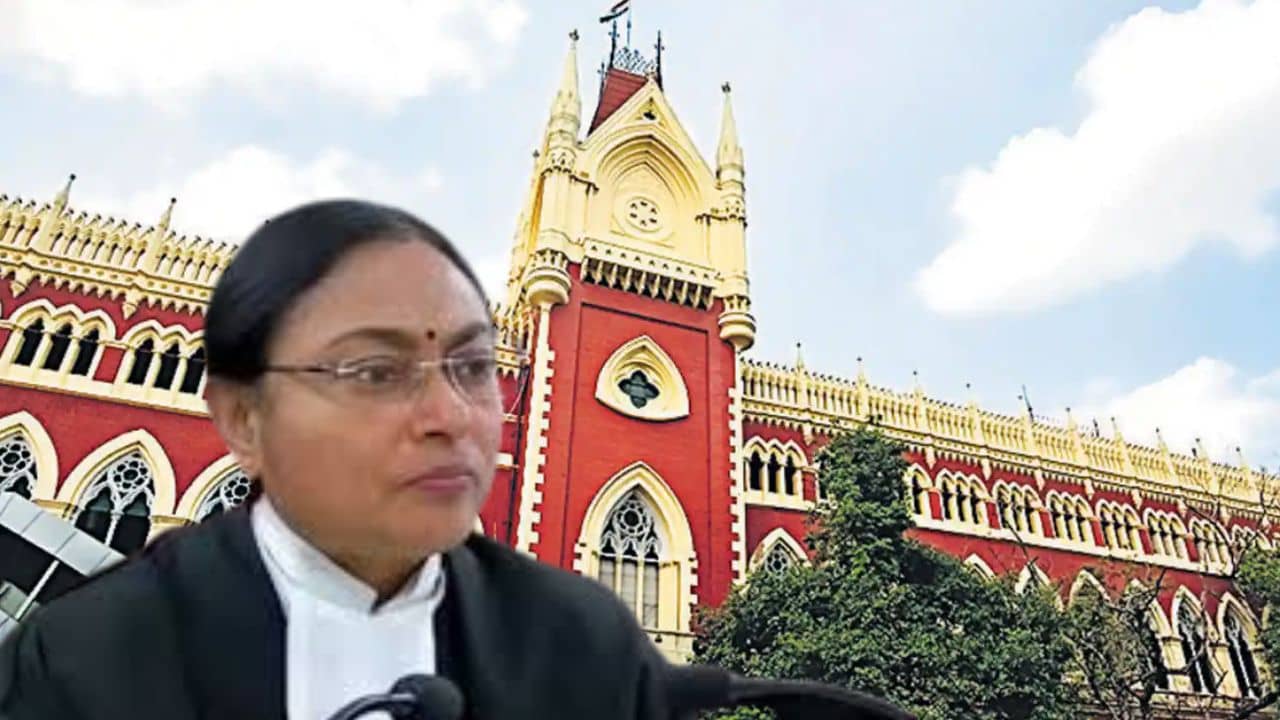 টেট পাশ করেছেন, অথচ সার্টিফিকেটই নেই! বিচারপতির প্রশ্ন, এরাই পরীক্ষার্থী বুঝবেন কীভাবে?