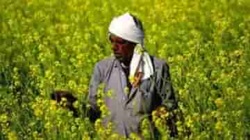 Budget for Farmers: কৃষকদের জন্য বড় উপহার নিয়ে অপেক্ষা করছে মোদী সরকার