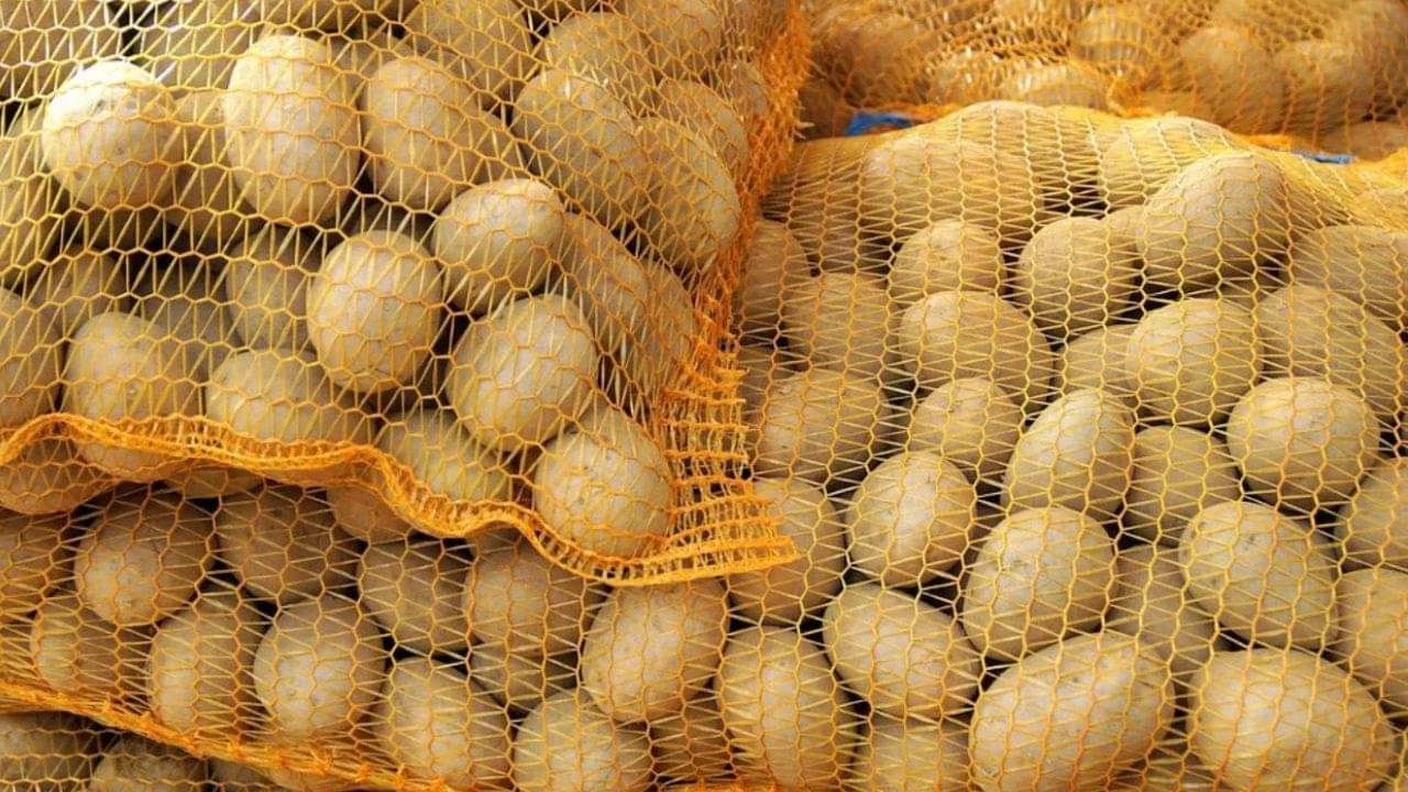 Potato traders strike: উঠল আলু ব্যবসায়ী সমিতির কর্মবিরতি, দামে স্বস্তি পাবে বাঙালি?