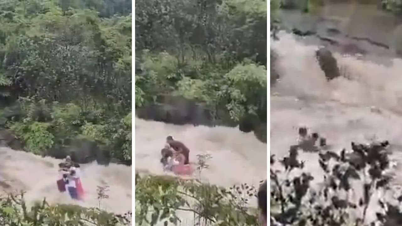 Death in Waterfall: ঝর্ণার মাঝে আঁকড়ে ধরে বাঁচার চেষ্টা, জলের ধাক্কায় মুহূর্তের মধ্যে ভেসে গেল সাতজনই