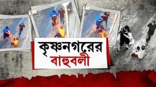 Nadia: হাত দিলেই উঠে যাচ্ছে পিচের রাস্তা, বিক্ষোভ এলাকাবাসীর