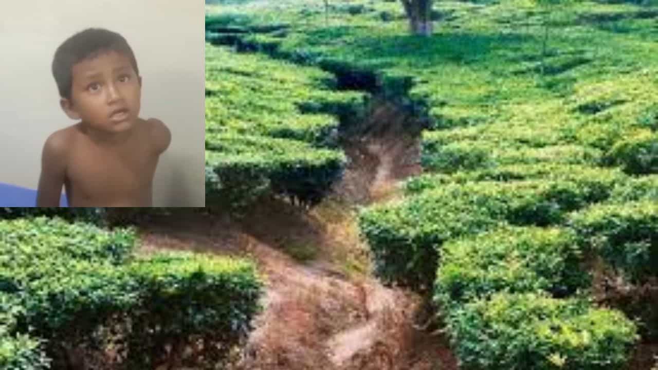 Jalpaiguri: চা বাগানে দাদুর সঙ্গে দাঁড়িয়েছিল চার বছরের শিশু, পিছন থেকে ঝুপ করে লাফ মারে সে... গ্রাম জুড়ে হাহাকার Jalpaiguri: চা বাগানে দাদুর সঙ্গে দাঁড়িয়েছিল চার বছরের শিশু, পিছন থেকে ঝুপ করে লাফ মারে সে... গ্রাম জুড়ে হাহাকার