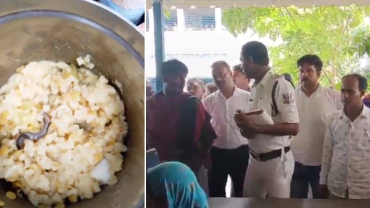 Mid Day Meal: সাপ ব্যাঙ টিকটিকির তালিকায় নয়া সংযোজন, এবার দুপুরের মিলে গিরগিটি