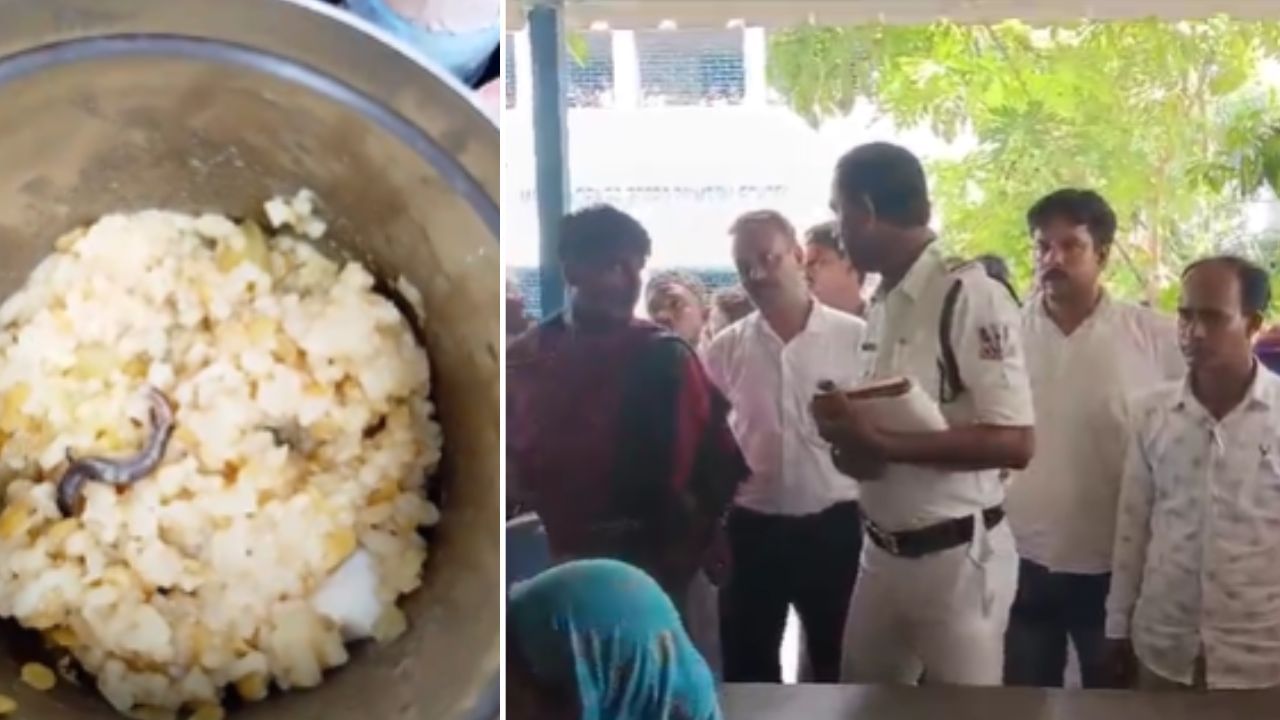 Mid Day Meal: সাপ ব্যাঙ টিকটিকির তালিকায় নয়া সংযোজন, এবার দুপুরের মিলে গিরগিটি