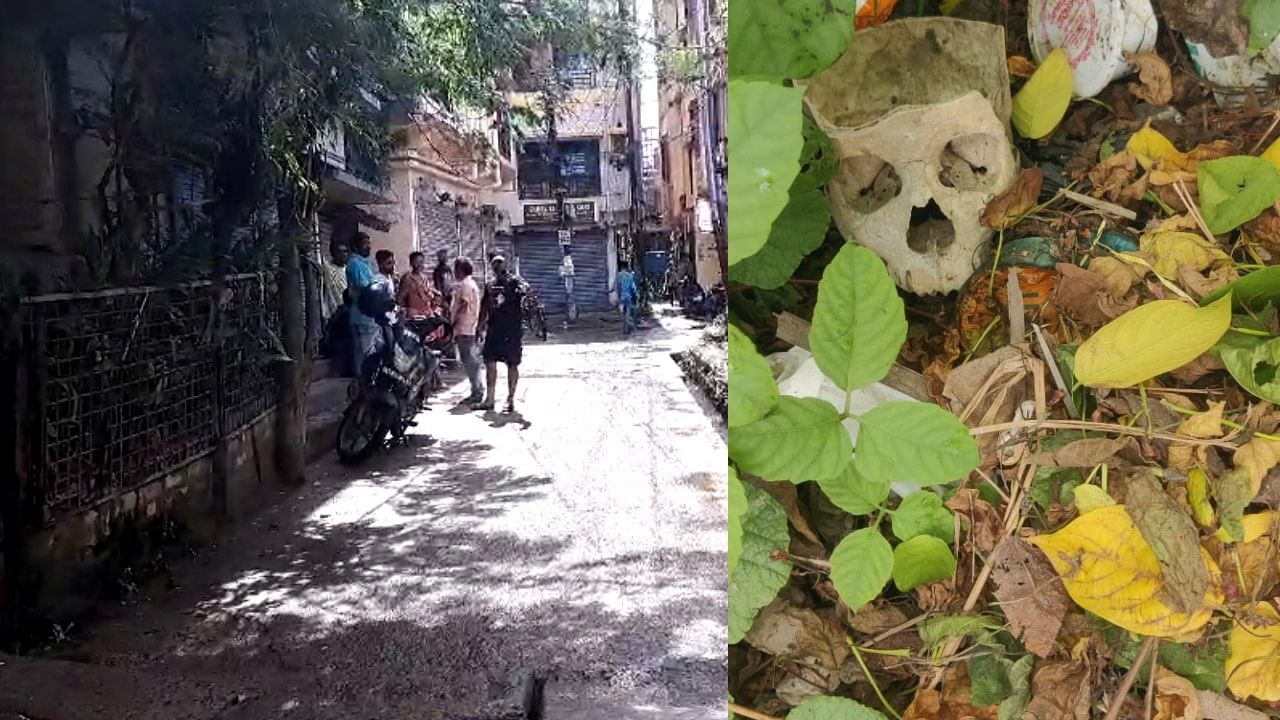 Skeleton in Kolkata: নিউ টাউনের রাস্তায় নর কঙ্কাল! ভয়ে সিঁটিয়ে এলাকার লোকজন, কোথা থেকে এল? ধন্দে পুলিশ