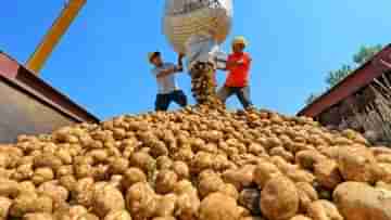 Potato Price: রাতেই বাজারে আচমকা অভিযান জেলাশাসকের, সকালে এক ধাক্কায় অনেকটাই কমে গেল আলুর দাম