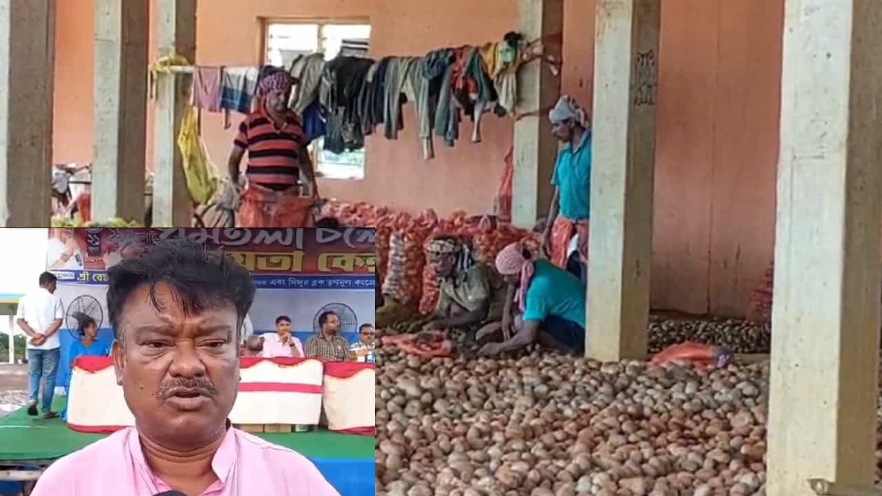 Potato Price: আশঙ্কা হল সত্যি! মঙ্গলবার থেকে বাংলার বাজারে আর মিলবে না আলু, স্টক ফুরল সোমবারই! বাধ্য হয়ে মন্ত্রী বললেন... Potato Price: আশঙ্কা হল সত্যি! মঙ্গলবার থেকে বাংলার বাজারে আর মিলবে না আলু, স্টক ফুরল সোমবারই! বাধ্য হয়ে মন্ত্রী বললেন...