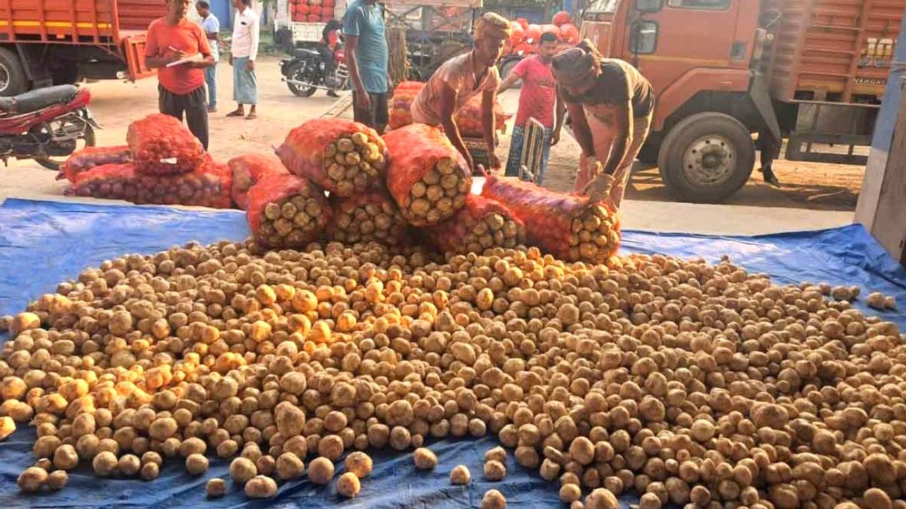 Potato Price: প্রয়োজনে হিমঘর থেকে বার করতে হবে আলু, DM-দের 'যুদ্ধকালীন' নির্দেশ নবান্নের