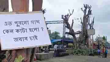 Rishra station: ওদের কলরবেই প্রাণ পেত অফিস ফিরতি ক্লান্ত ভিড়টা! এক রাতেই সব শেষ, রাতারাতি ঘর হারিয়ে মৃত্যুর কোলে হাজার হাজার পাখি