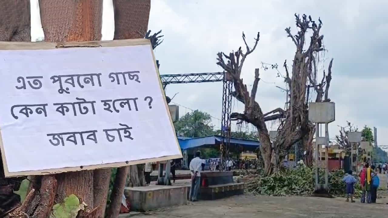 Rishra station: ওদের কলরবেই প্রাণ পেত অফিস ফিরতি ক্লান্ত ভিড়টা! এক রাতেই সব শেষ, রাতারাতি ঘর হারিয়ে মৃত্যুর কোলে হাজার হাজার পাখি Rishra station: ওদের কলরবেই প্রাণ পেত অফিস ফিরতি ক্লান্ত ভিড়টা! এক রাতেই সব শেষ, রাতারাতি ঘর হারিয়ে মৃত্যুর কোলে হাজার হাজার পাখি