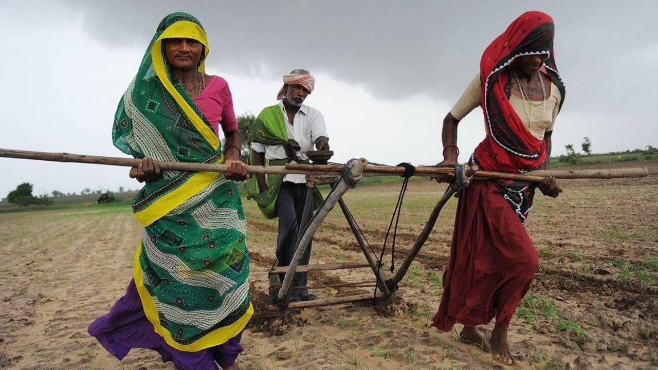 কৃষিকাজ এবং তৎসংক্রান্ত ক্ষেত্রে ১ লক্ষ ৫১ হাজার ৮৫১ কোটি টাকা বরাদ্দ করেছে তৃতীয় এনডিএ সরকার। ভারতীয়দের বড় একটি অংশ কৃষিকাজের সঙ্গে জড়িত। তাই এই ক্ষেত্র বড় বরাদ্দ সবসময়ই কাঙ্খিত। 