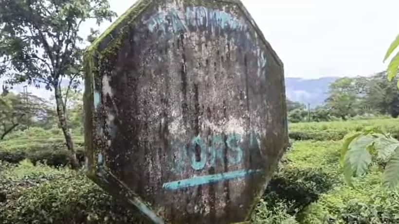Alipurduar: কোনও নোটিস ছাড়াই বাগানে বন্ধ হয়ে গেল আরও একটি চা বাগান