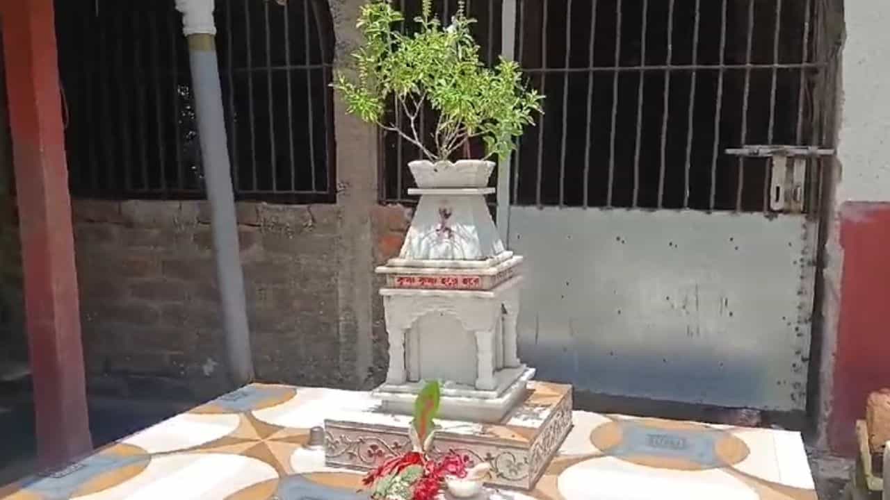 Medinipur: এই তুলসি মঞ্চেই আজব রহস্য! আর তা নিয়ে দুই ভাইকে নিয়ে হিমশিম খাচ্ছে প্রশাসন Medinipur: এই তুলসি মঞ্চেই আজব রহস্য! আর তা নিয়ে দুই ভাইকে নিয়ে হিমশিম খাচ্ছে প্রশাসন