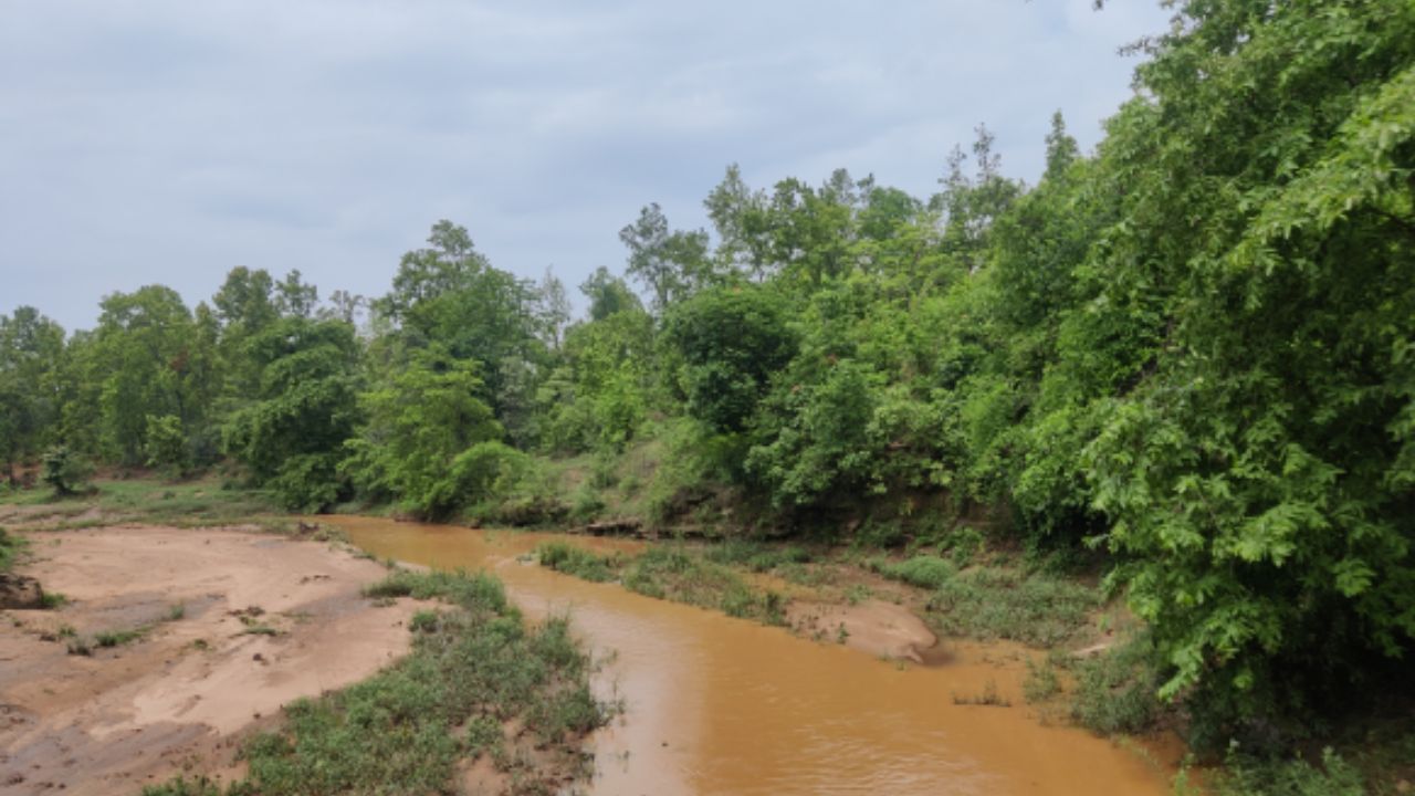 McCluskieganj: শাল-মহুয়া, অ্যাংলো-ইন্ডিয়ান ছোঁয়া! দু'দিনের ছুটিতে ঘুরে আসুন ভারতের 'মিনি ইংল্যান্ড' থেকে McCluskieganj: শাল-মহুয়া, অ্যাংলো-ইন্ডিয়ান ছোঁয়া! দু'দিনের ছুটিতে ঘুরে আসুন ভারতের 'মিনি ইংল্যান্ড' থেকে