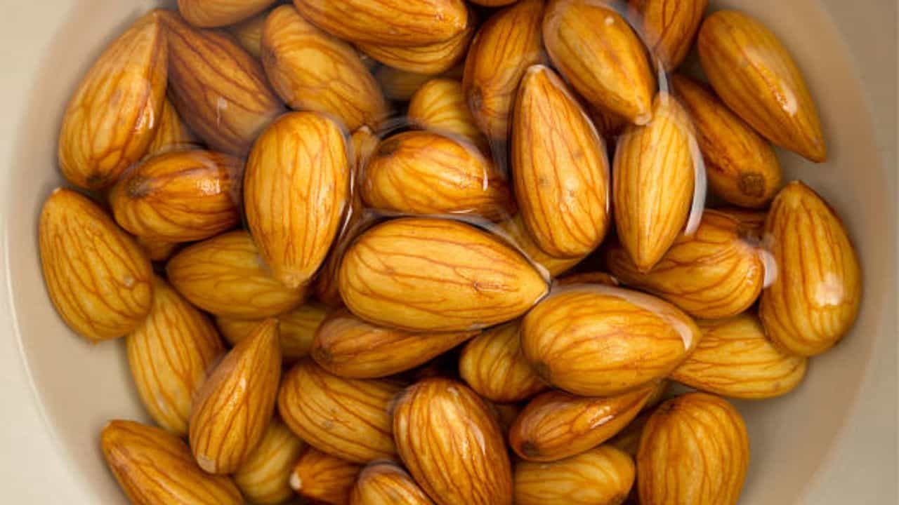 Almond Side Effects: ওজন কমাতে রোজ সকালে এক মুঠো ভেজানো আমন্ড খাচ্ছেন? কিডনির কোনও ক্ষতি হচ্ছে না তো! Almond Side Effects: ওজন কমাতে রোজ সকালে এক মুঠো ভেজানো আমন্ড খাচ্ছেন? কিডনির কোনও ক্ষতি হচ্ছে না তো!