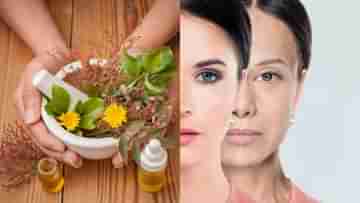 Anti Aging: রোজ এই ৩ ভেষজ ব্যবহার করলে বয়সের কাঁটা থমকে যাবে, ত্বক চকচকে করবে ৪০-এও