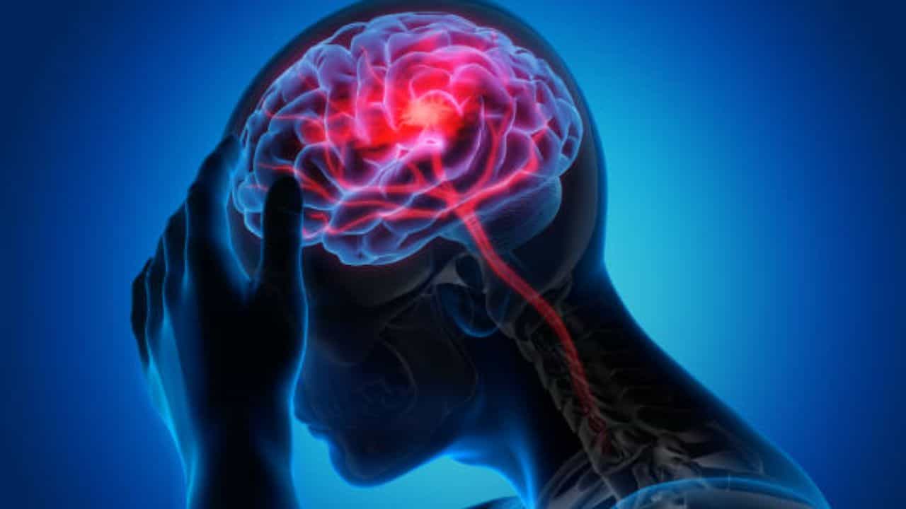 মস্তিষ্ক নিয়ে খুব একটা মাথা ঘামান না? অথচ, আপনার মাথাই সবচেয়ে বেশি কাজ করে। যত দিন যাচ্ছে মানুষের মধ্যে ডিমেনশিয়ার ঝুঁকি বাড়ছে। স্মৃতিশক্তিকে ঠিক রাখতে মাথার খেয়াল রাখতেই হবে।