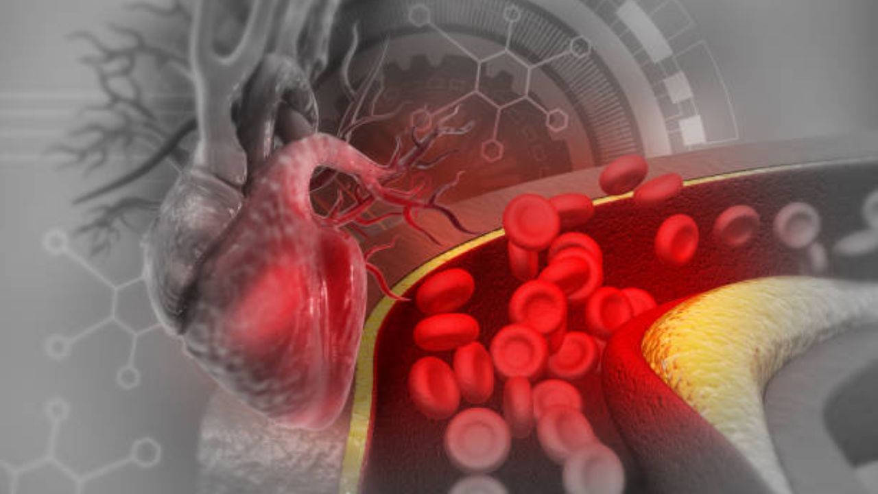 কোলেস্টেরলের মাত্রা বাড়লে তা জমতে থাকে রক্তনালিতে। এতে দেহে রক্ত সঞ্চালনে বাধা তৈরি হয়। ধমনী সরু হয়ে গেলে বা বাধা তৈরি হলে করোনারি হার্ট ডিজিজের সম্ভাবনা তৈরি হয়।