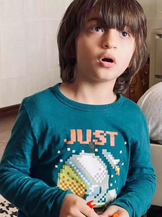 আব্রামকে পছন্দ করেন না গৌরী? সত্যি কি তাই!