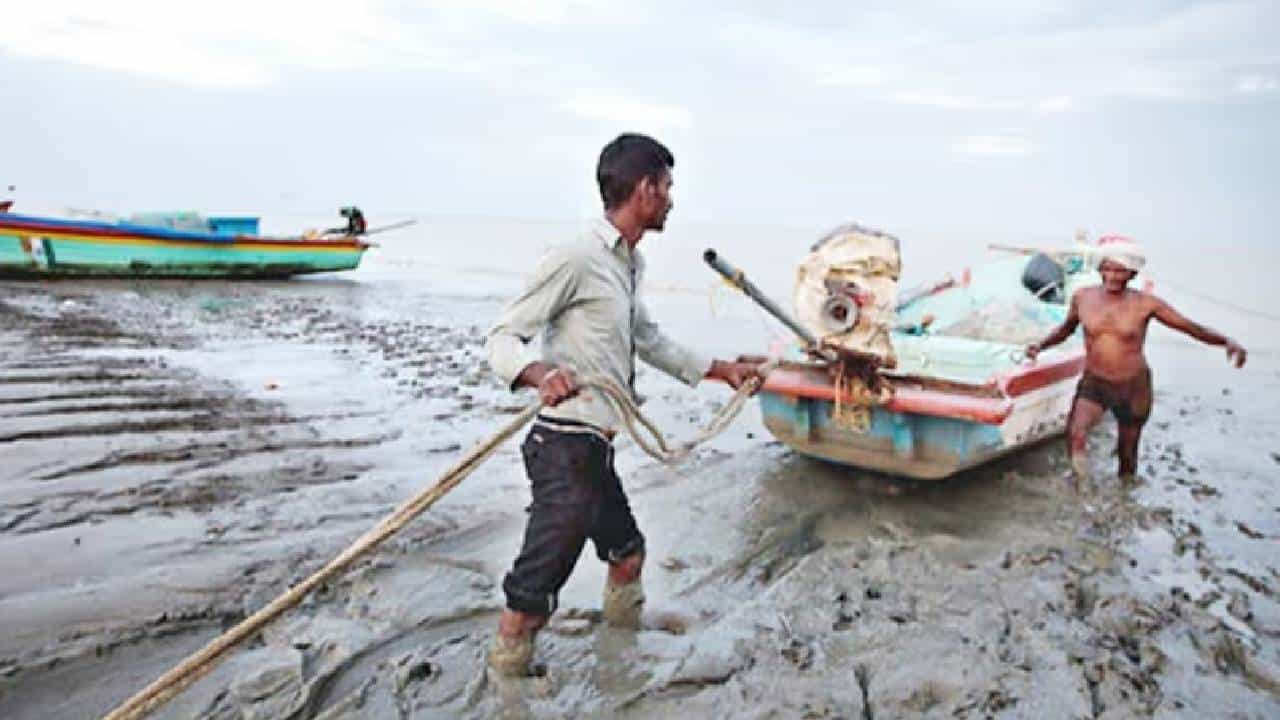 Samudra Sathi Scheme: বাজেটে ঘোষণা 'সমুদ্রসাথী'র, তবু সাথী হল না মৎস্যজীবীদের Samudra Sathi Scheme: বাজেটে ঘোষণা 'সমুদ্রসাথী'র, তবু সাথী হল না মৎস্যজীবীদের
